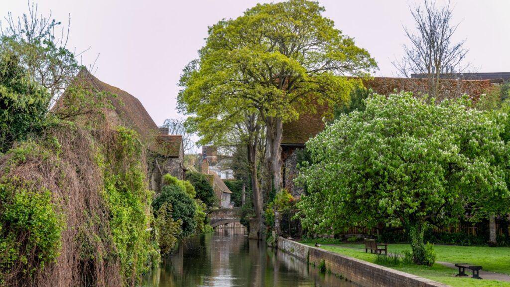 A picturesque view of a river running past green trees and old houses