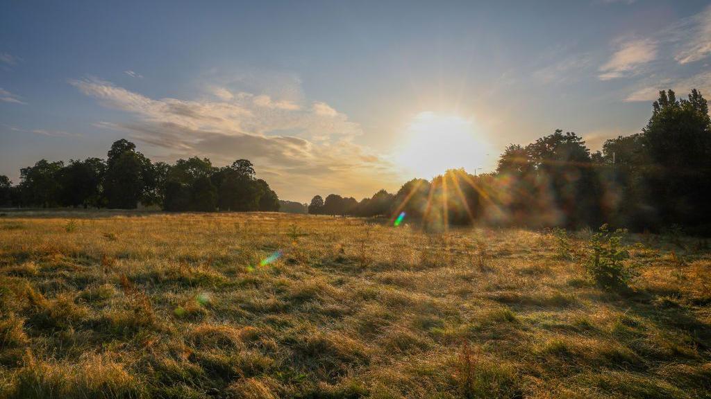  Old Deer Park in Richmond, south-west London.