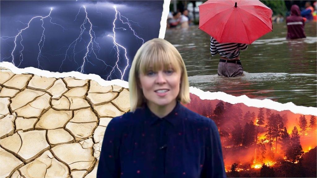 extreme weather and reporter