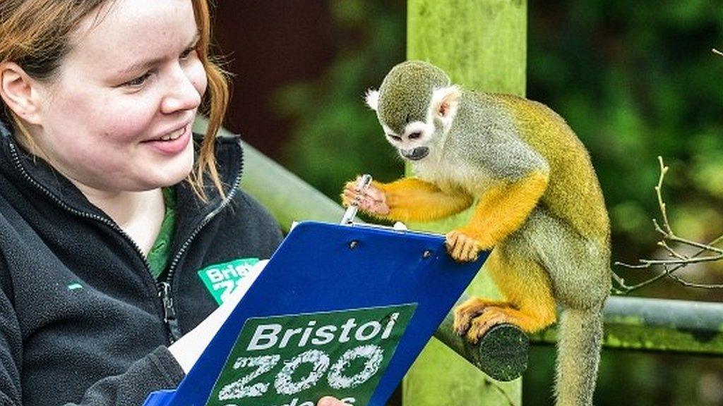 Mammal keeper Olivia Perkins and a squirrel monkey