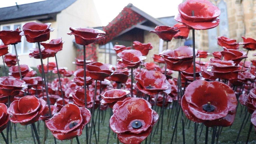 Ceramic poppies