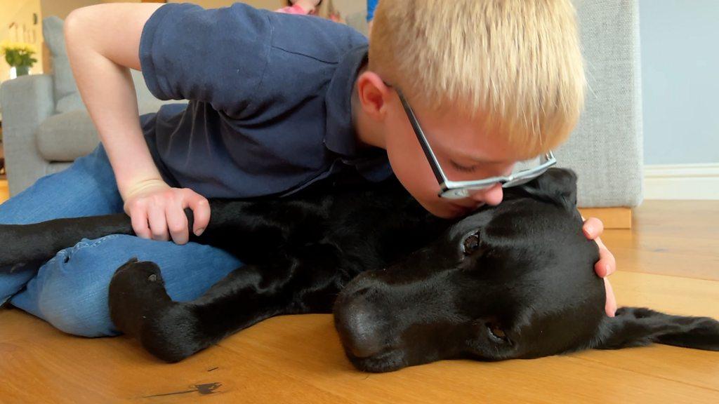 Boy kissing black labrador