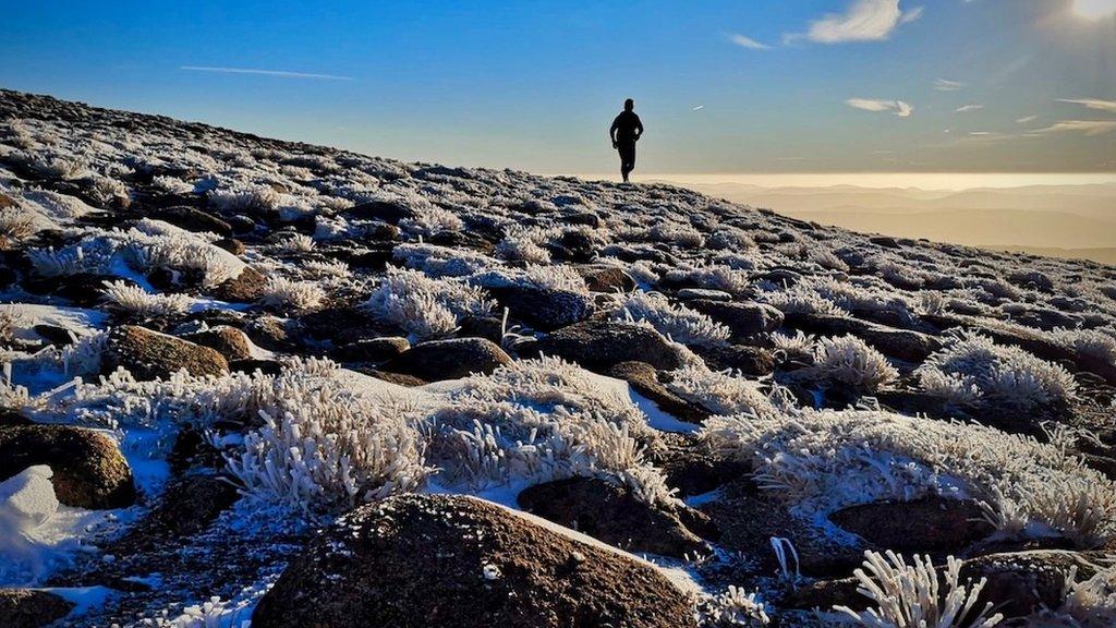 Runner in Southern Cairngorms on 2 January