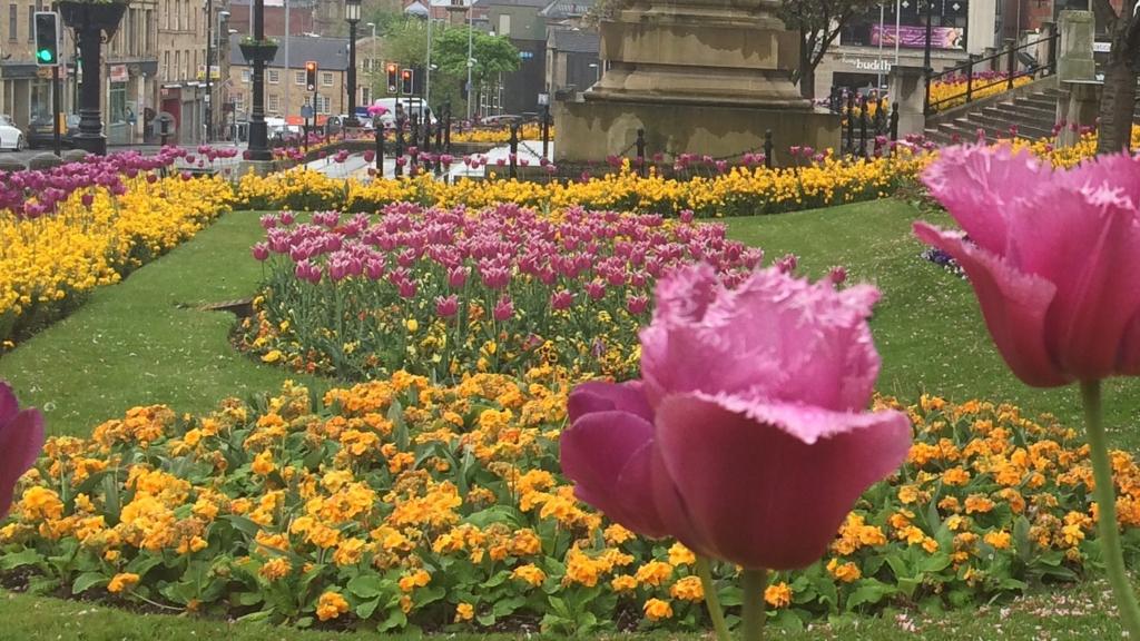 Barnsley Town Hall