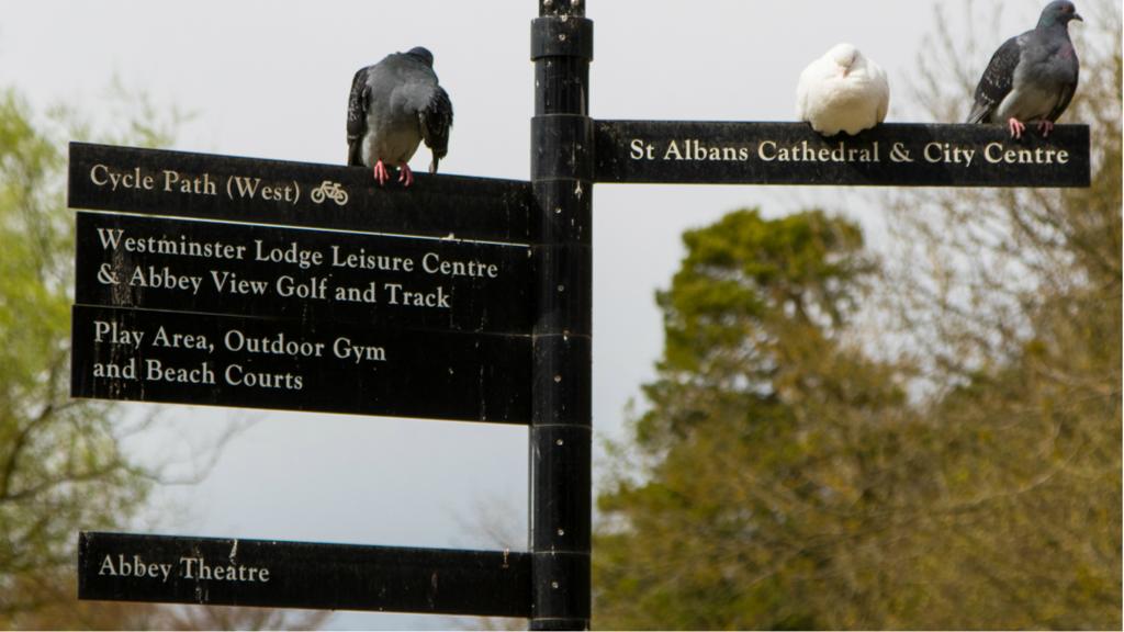 St Albans signpost