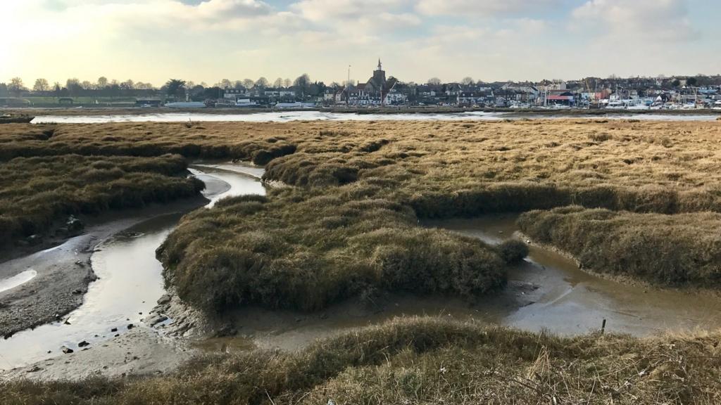 Essex: Latest updates - BBC News