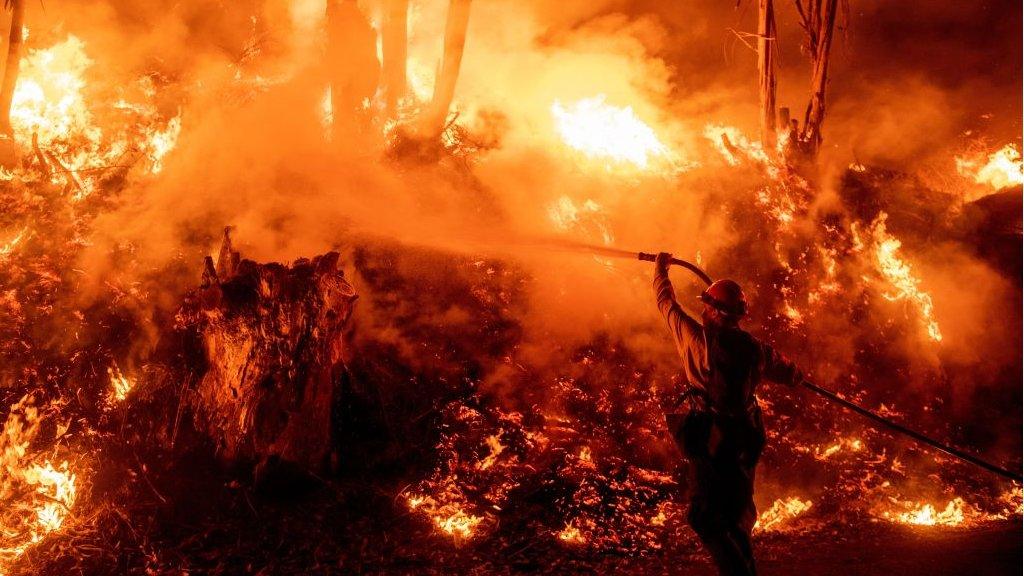 Firefighters work to control flames from a backfire during the Maria fire in Santa Paula, California on 1 November 2019