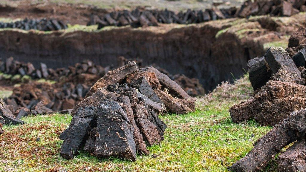 Peat extraction