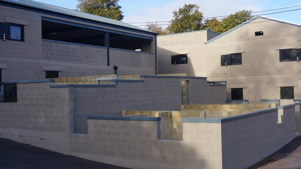 New Zealand Farm Camp