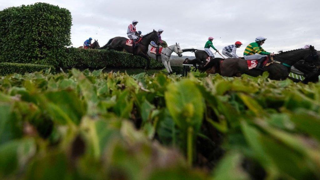 Cross Country Chase at Cheltenham