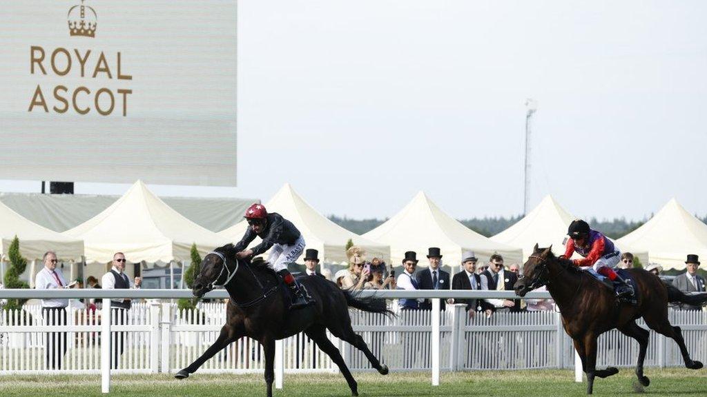 Claymore beat Reach For The Moon, owned by the Queen. At Royal Ascot