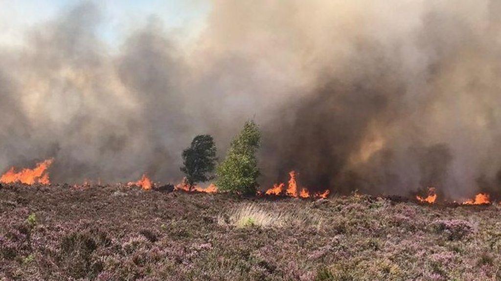 Fire crews on Sunday tackled separate fires in Surrey, London, Suffolk, Hertfordshire and