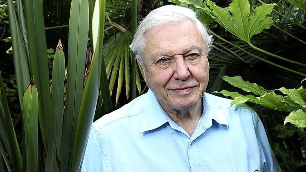 David-Attenborough-backs-plastic-report.