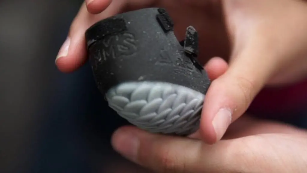 Happy Feet! The penguin who got a new BBC Newsround