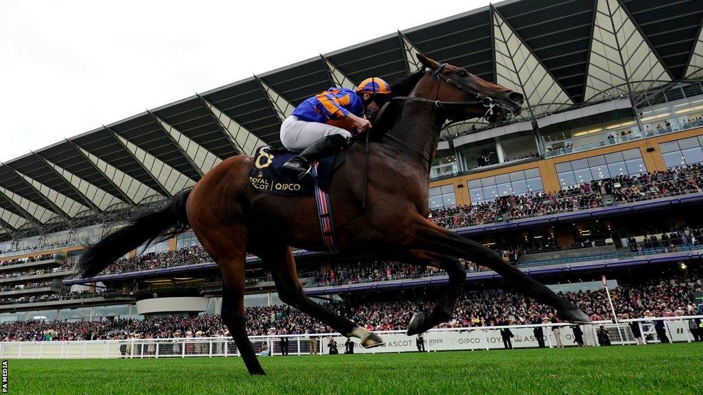 Paddington won by three-and-three-quarter lengths at Ascot