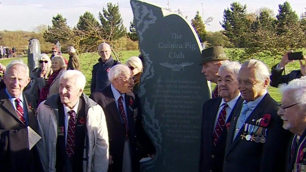 Surviving members of the Guinea Pig Club