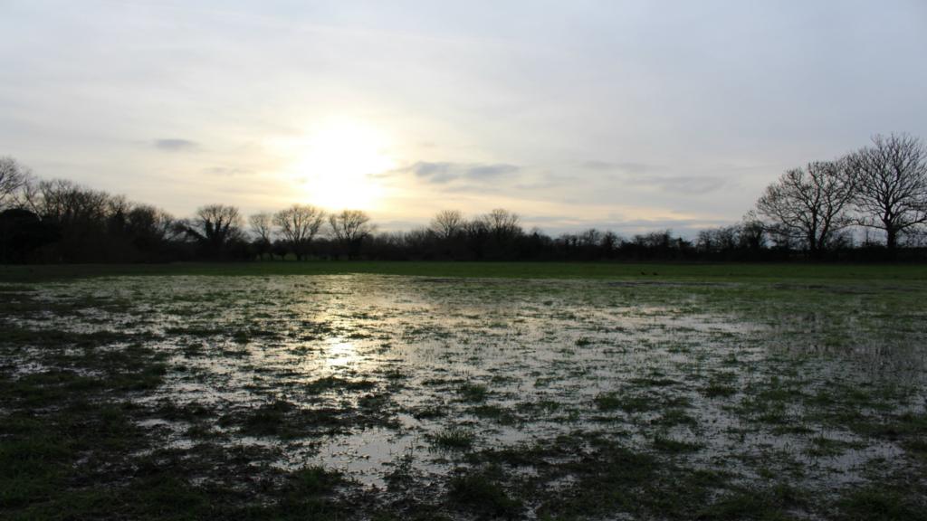 Granchester Meadows