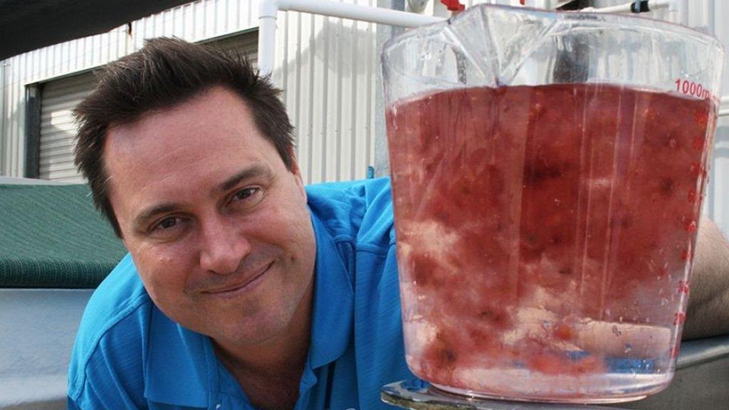 professor-nicholas-paul-holding-pink-seaweed.