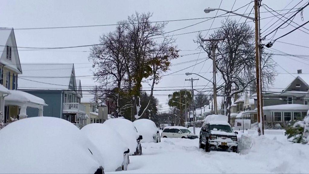 Cars covered in snow