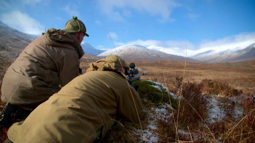 deer stalking on the Achnacarry Estate