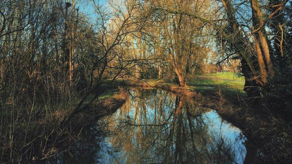 BBC Local Live Stoke & Staffordshire on Monday 1 February 2016 BBC News