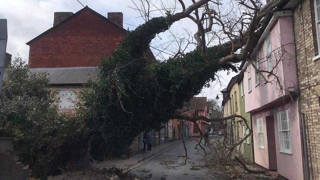 Tree fallen on house in Sudbury