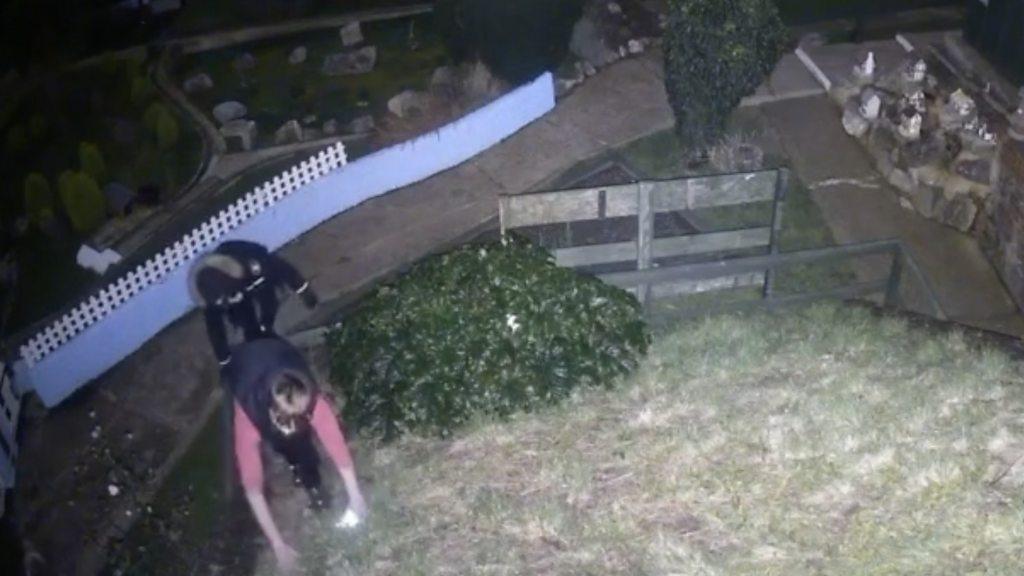 CCTV of teen boys climbing up hill in Southsea Model Village