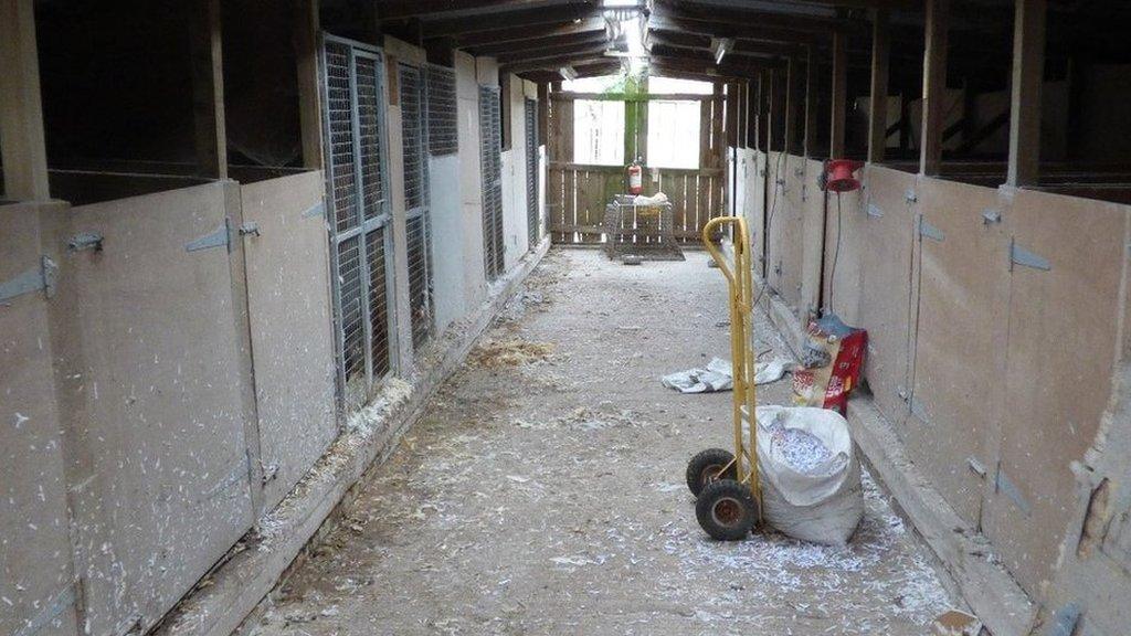 One of the sheds on Margaret Davies' property