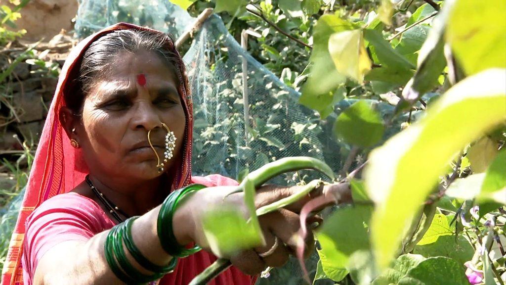 Rahibai Soma Popere cutting crops