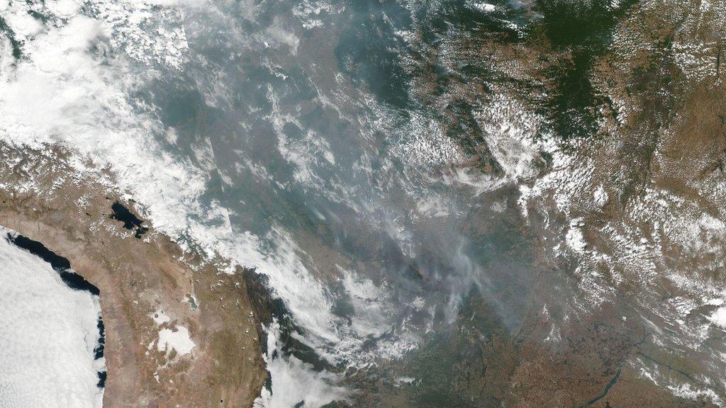 forest-fires-from-space.