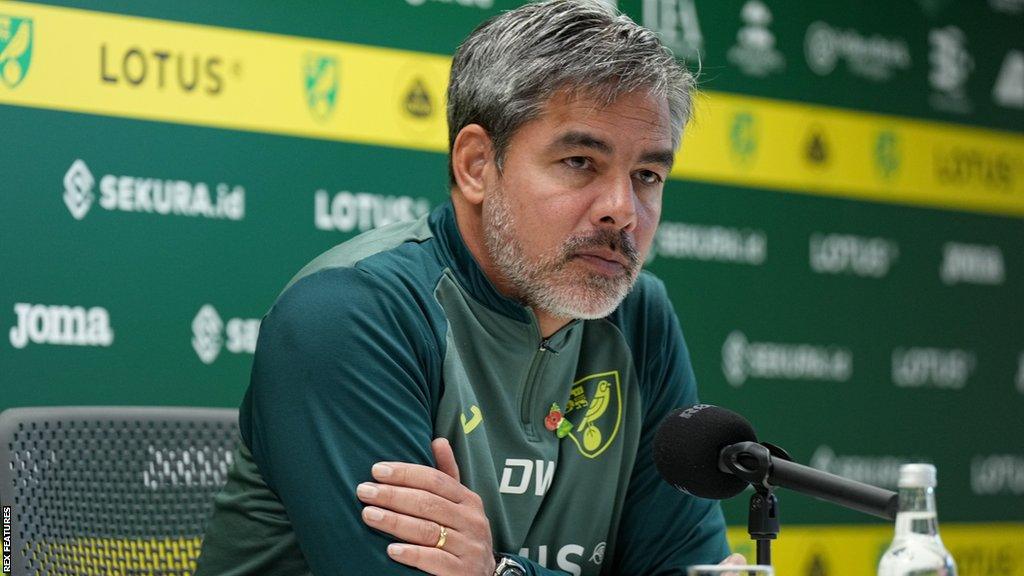 Norwich City manager David Wagner answers questions from the media