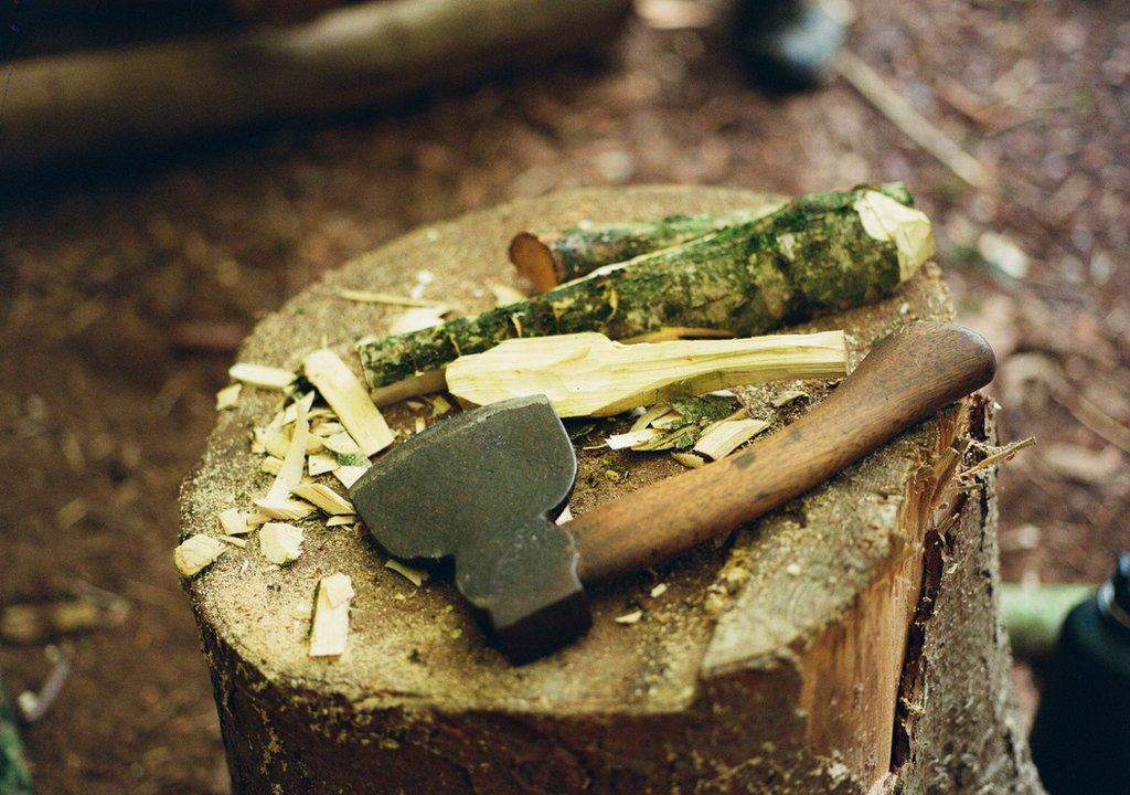 An axe sits on a tree stumps next to a broken branch