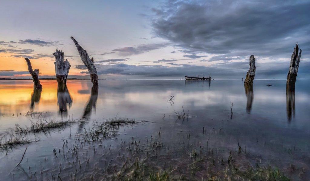 Wooden pilings at sunset