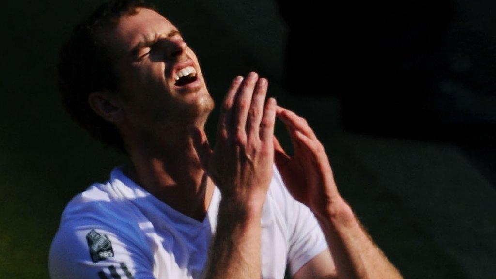 Andy Murray reacts to becoming Wimbledon champion in 2013