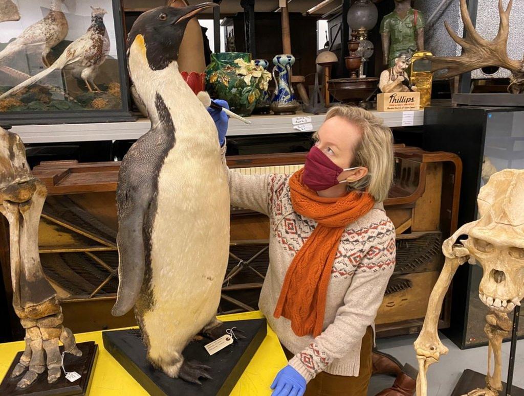 Curator Clare Brown with the stuffed penguin