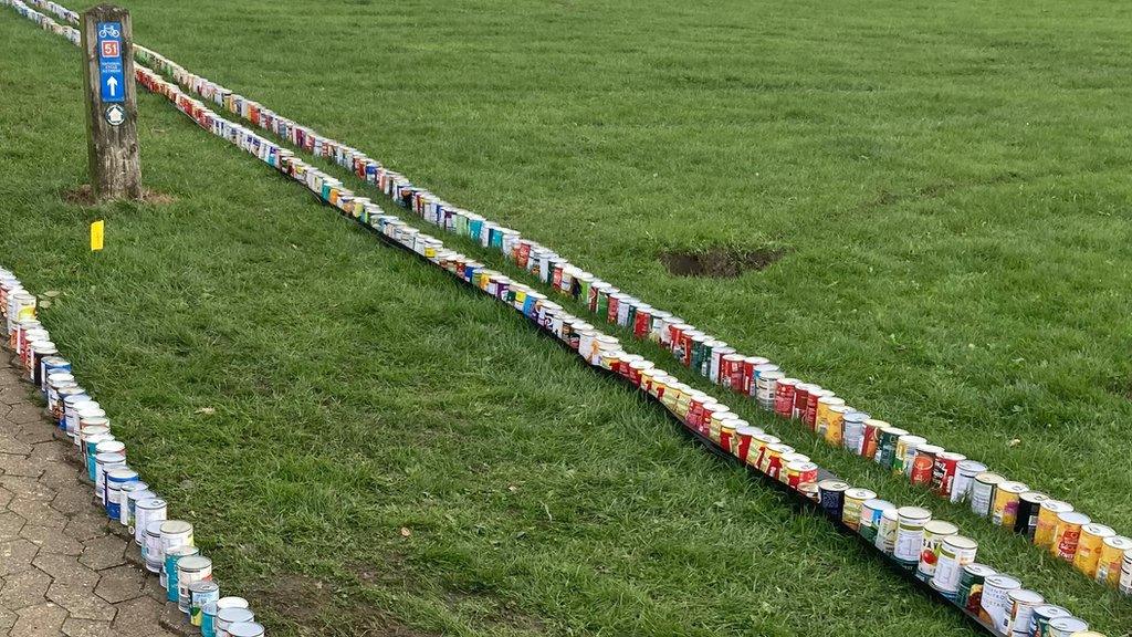 food cans lined up