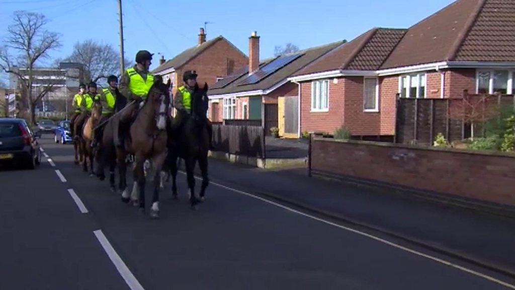 Melton Mowbray Leicestershire horse birthday