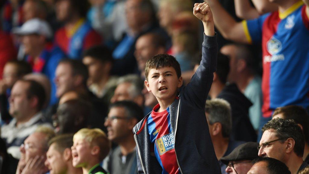 football fan in crowd