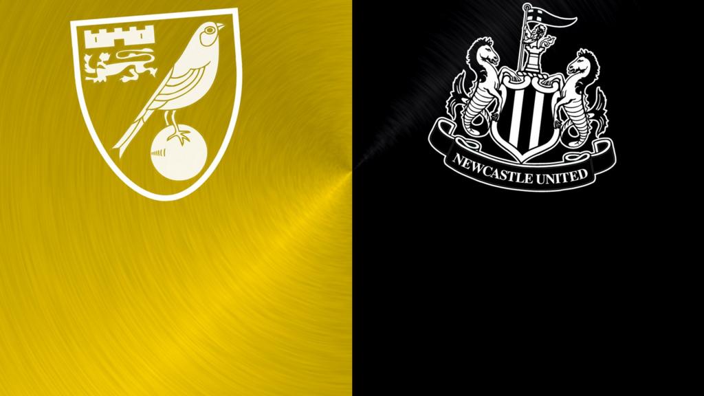 Norwich City v Newcastle United