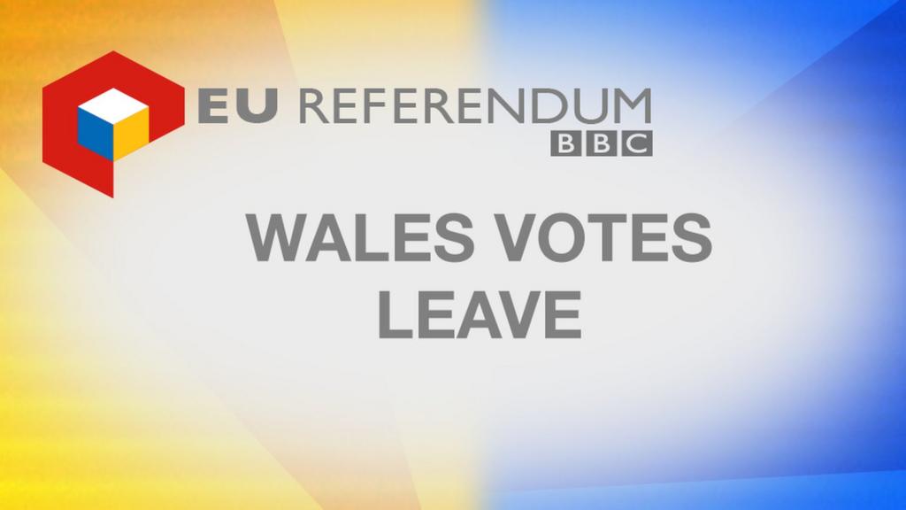 Wales votes leave graphic