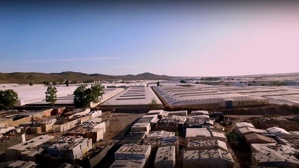 almeria fruit greenhouse