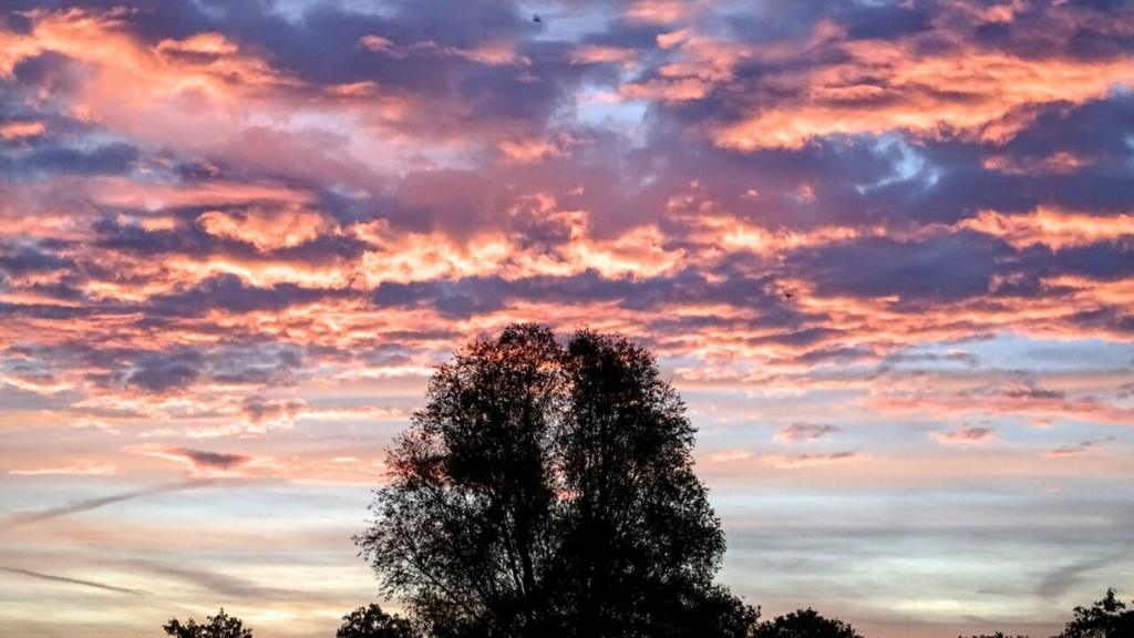 Sunrise over Bradeley Fields