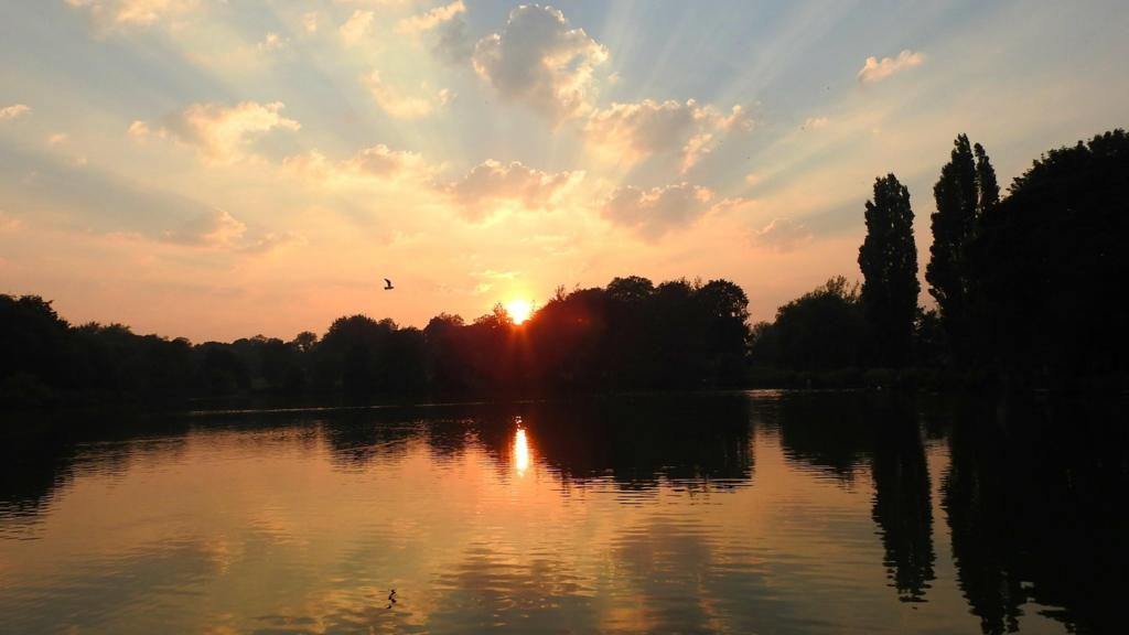 BBC Local Live Nottinghamshire on Friday 28 October 2016 BBC News