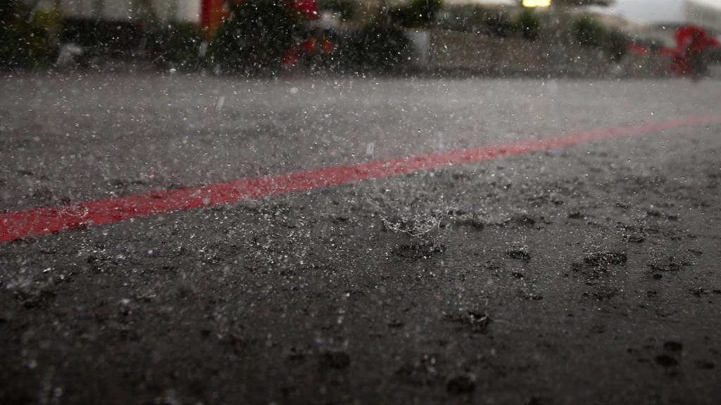 Rain falls in the paddock