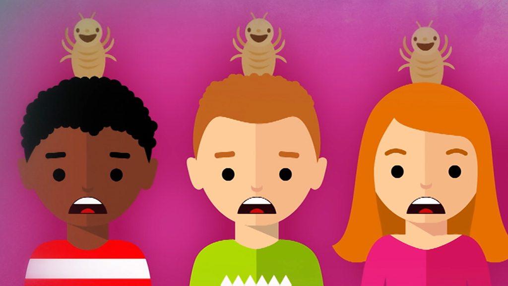 Head lice