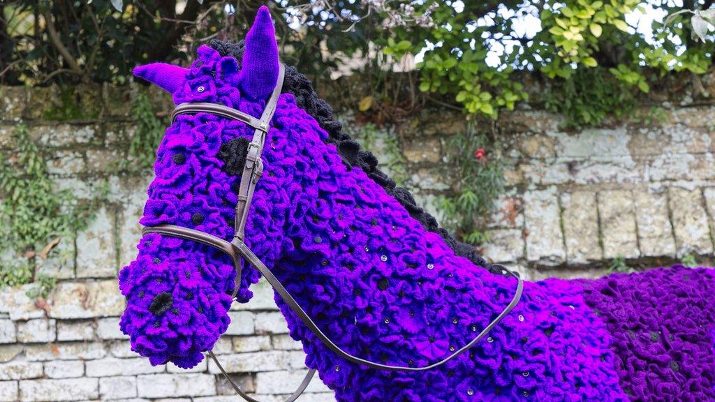 Horse decorated in poppies