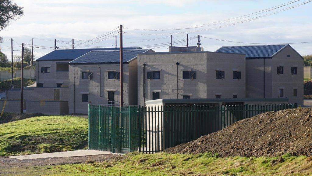 New Zealand Farm Camp