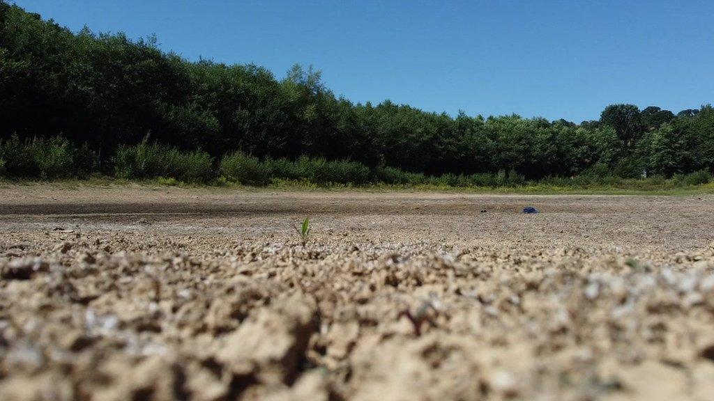 A dried up reservoir at Riverford in Devon