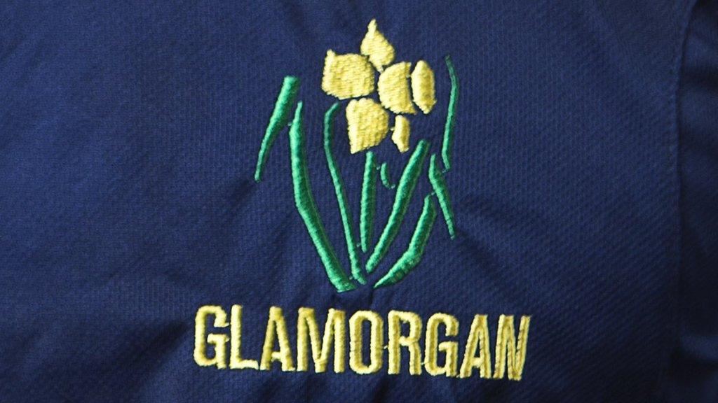 Glamorgan logo