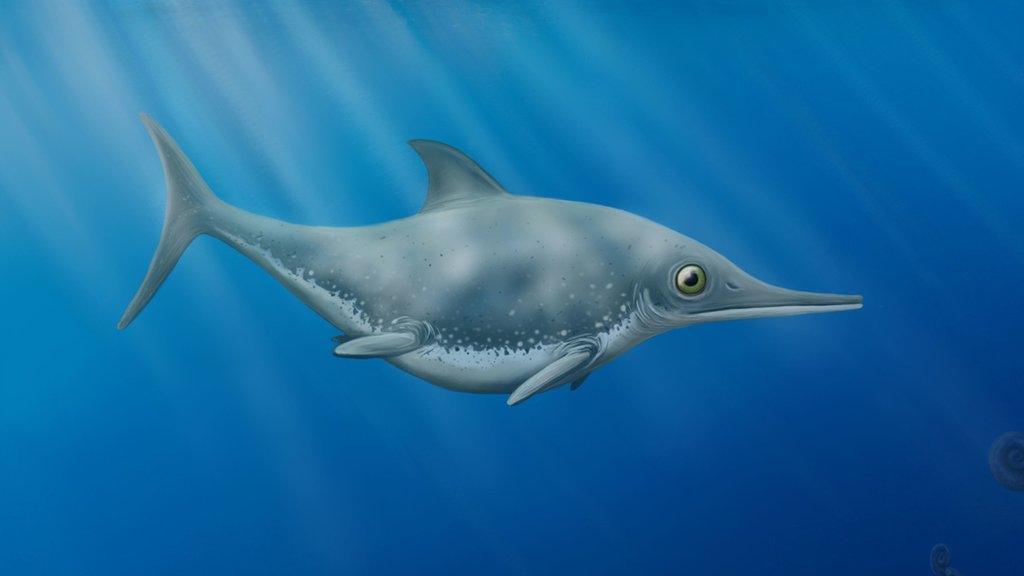 Ichthyosaur.